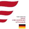 Niemcy - sektor elektromobilnoci