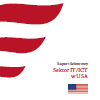 USA - sektor IT/ICT