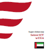 ZEA - sektor ICT