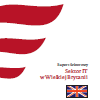 Wielka Brytania - sektor IT