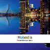 Holandia - przewodnik po rynku