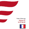 Francja - sektor IT