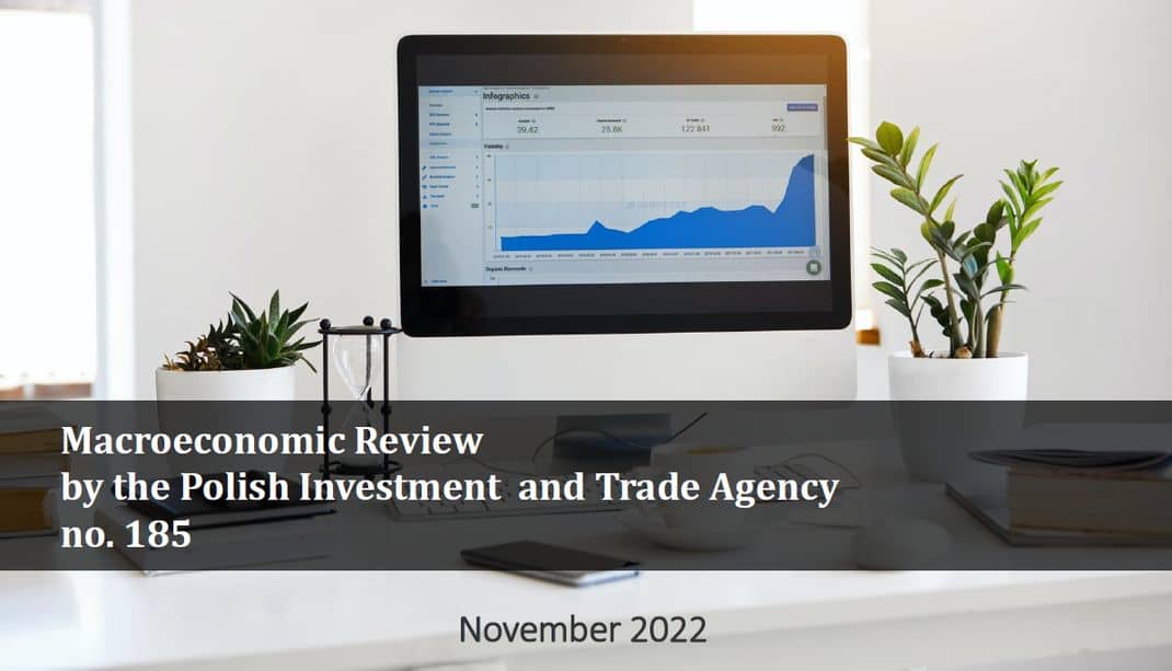 Macroeconomic review 185, November 2022