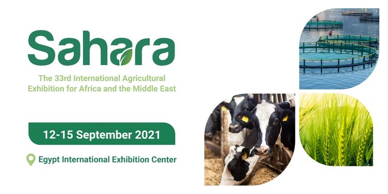 Sahara Expo 2021