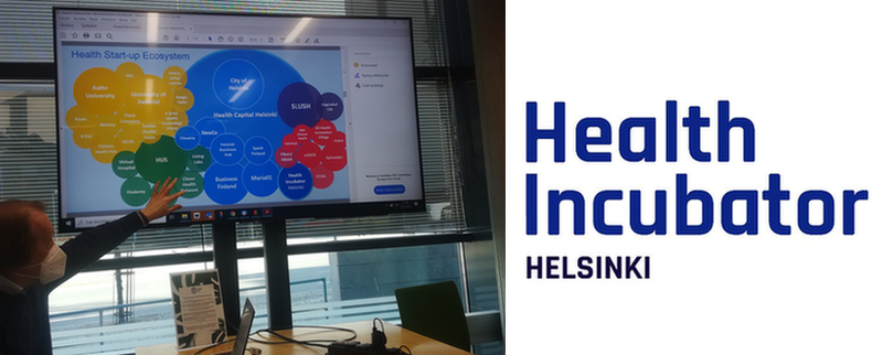 Warsztaty partnerstwa NSP w Helsinkach