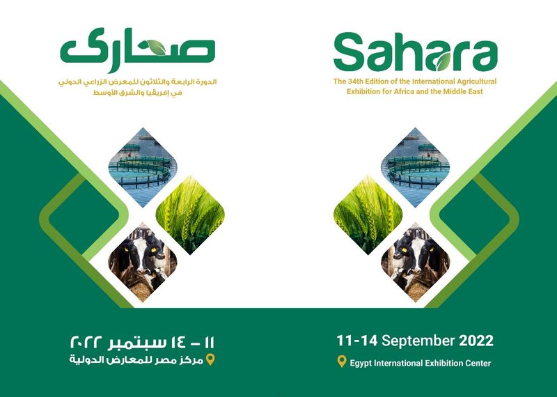 Sahara 2022