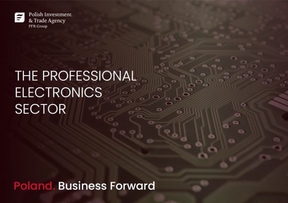 The Professional Electronics Sector