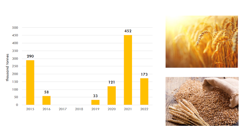 Polskie zboże dla Maroka - wykres