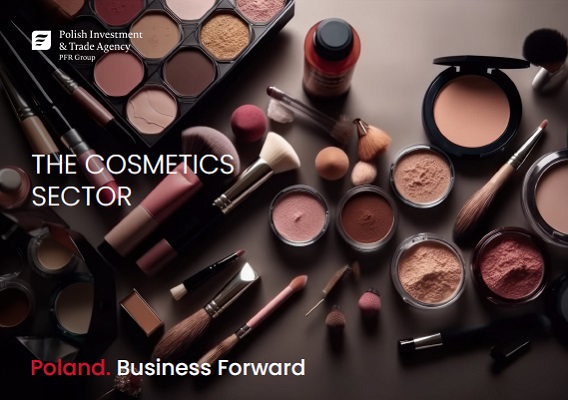 The Cosmetics Sector