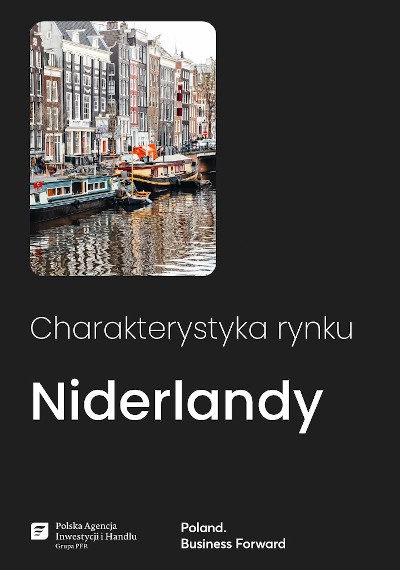 Niderlandy - charakterystyka rynku, 2025