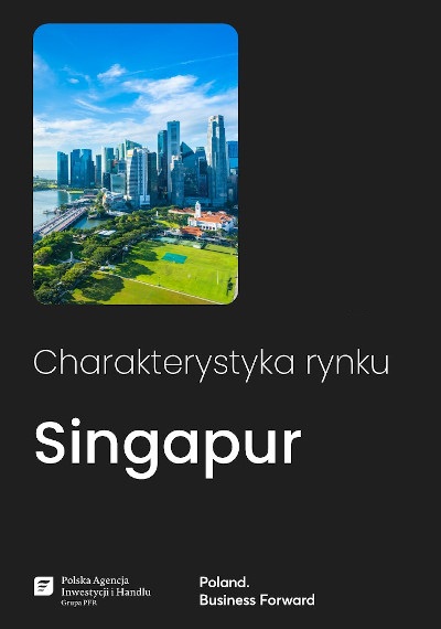 Singapur - charakterystyka rynku, 2025