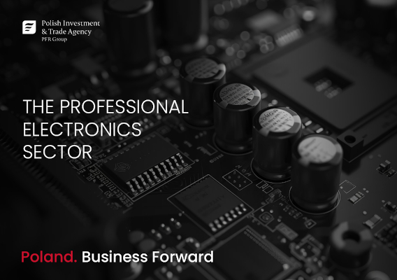 The Professional Electronics Sector, 2025