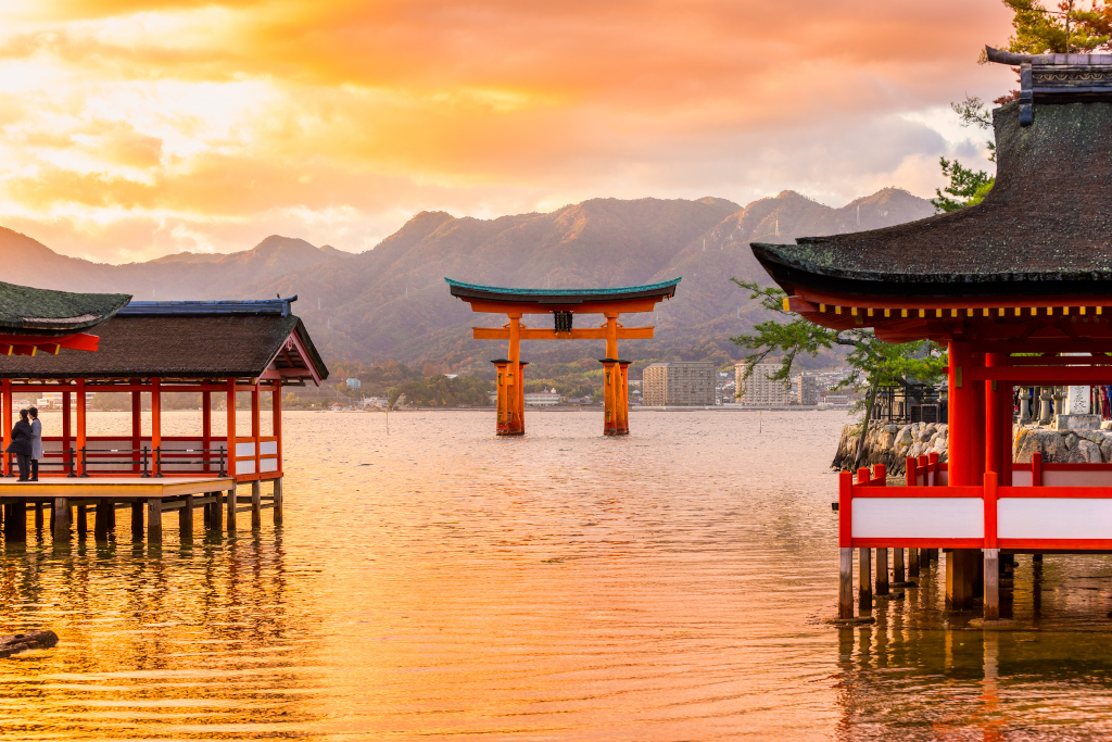 PMT_Japonia_perspektywiczny kierunek