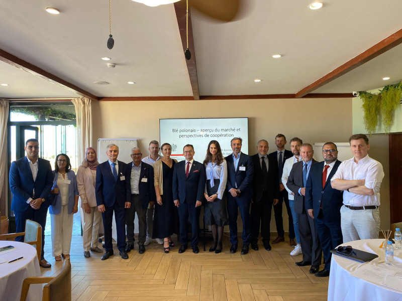 Polish grain for Morocco